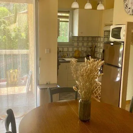 Joli F2 Avec Balcon, Parking Et Proche Thermes - Fr-1-703-213 * Amelie-les-Bains-Palalda